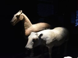 Exposición de los Guerreros de Xian 2023